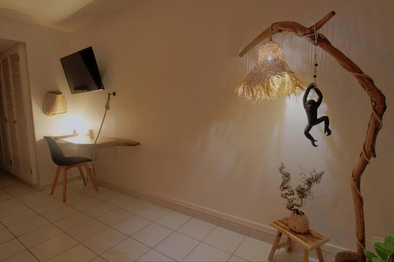 Appartement YUCCA FLOW - T1 de charme accès privé plage Gosier Le Gosier  Guadeloupe