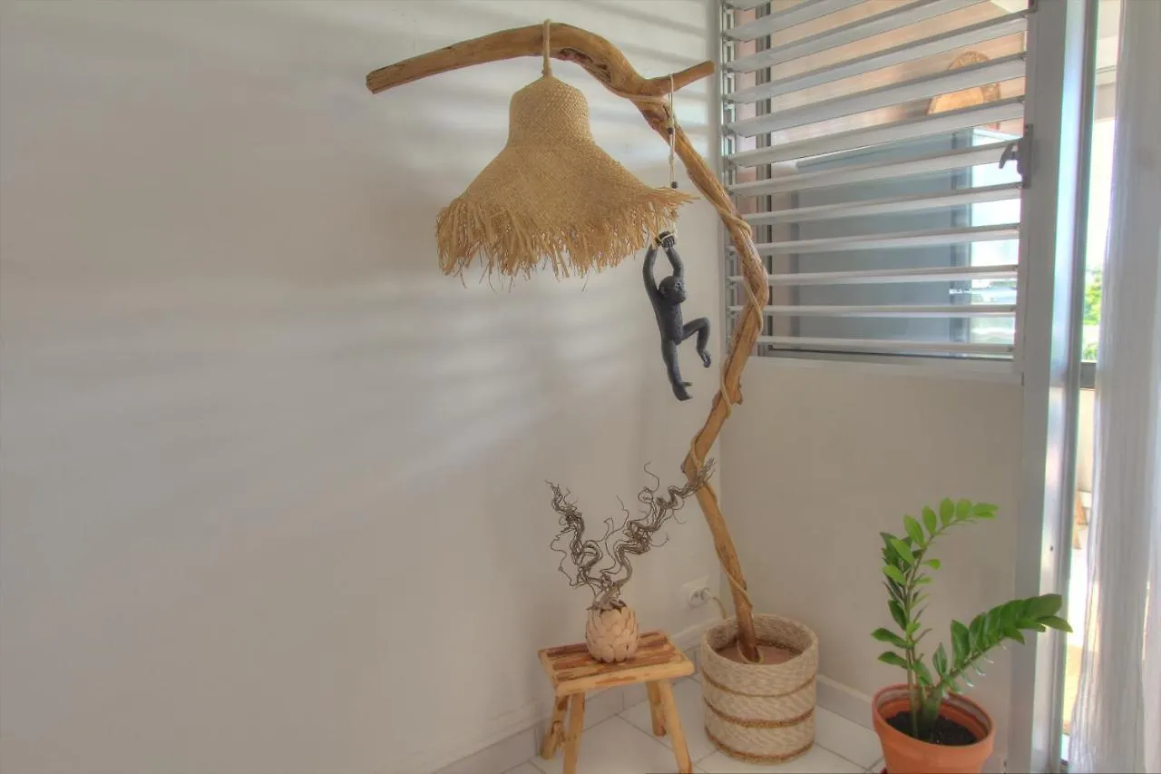 YUCCA FLOW - T1 de charme accès privé plage Gosier Le Gosier  Appartement Le Gosier (Grande-Terre)